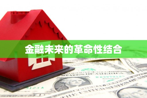 思南金融未来的革命性结合