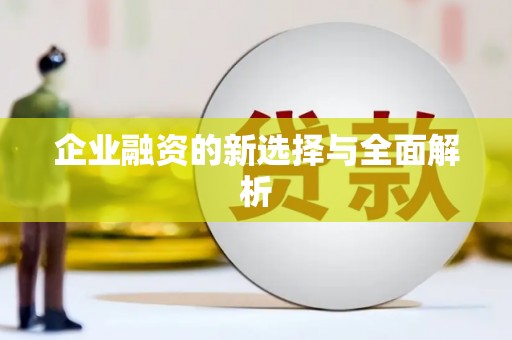 思南企业融资的新选择与全面解析