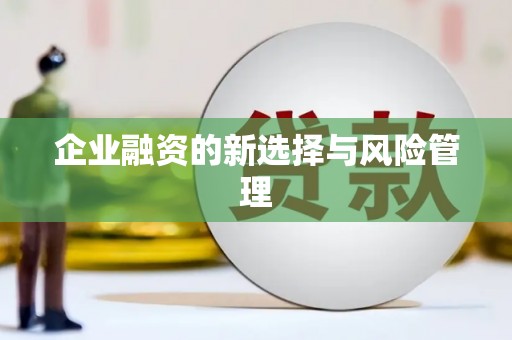 思南企业融资的新选择与风险管理