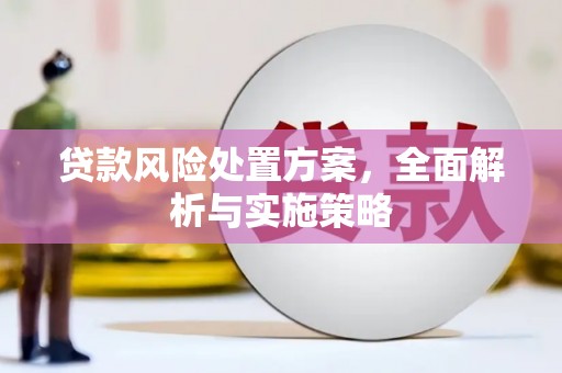 思南贷款风险处置方案，全面解析与实施策略