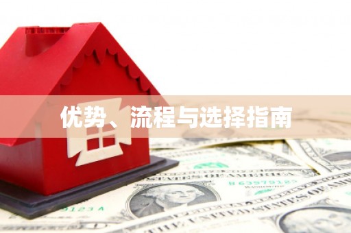 思南优势、流程与选择指南