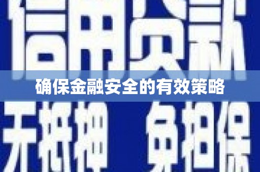 思南确保金融安全的有效策略