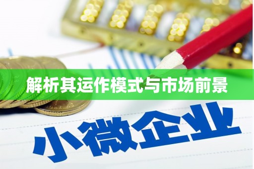 思南解析其运作模式与市场前景