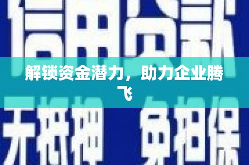 思南解锁资金潜力，助力企业腾飞