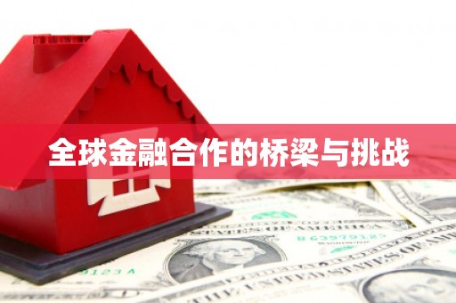 思南全球金融合作的桥梁与挑战