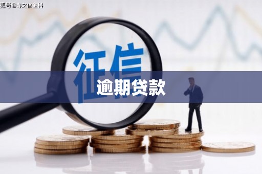 思南逾期贷款