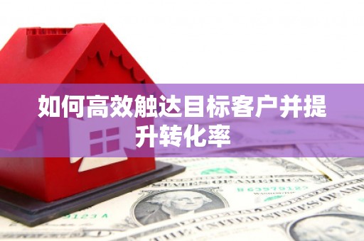 思南如何高效触达目标客户并提升转化率