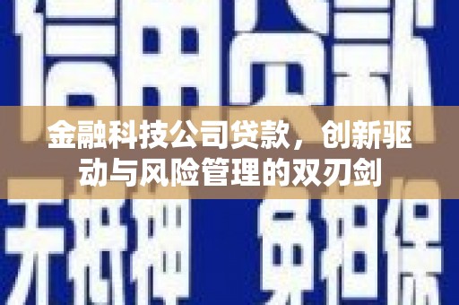 思南金融科技公司贷款，创新驱动与风险管理的双刃剑